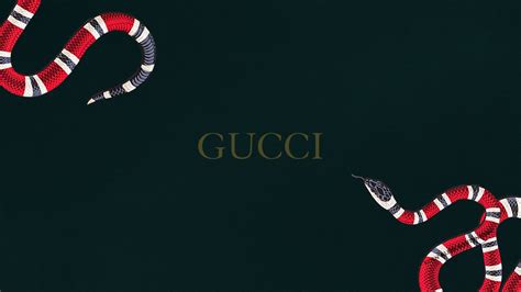 Gucci wallpaper 8k